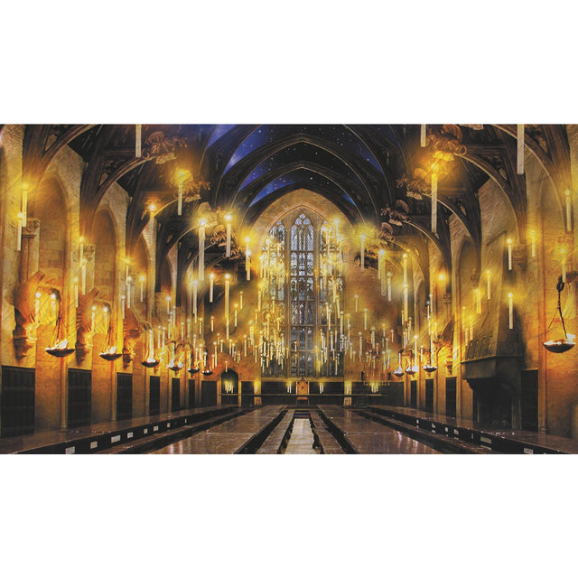 Harry Potter Great Hall Multicolor Peel & Stick Vinyl Wall Mural - York RMK12541M