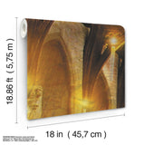 Harry Potter Great Hall Multicolor Peel & Stick Vinyl Wall Mural - York RMK12541M