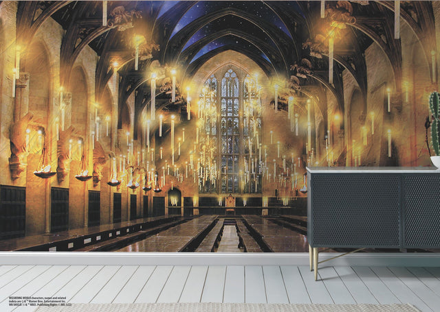 Harry Potter Great Hall Multicolor Peel & Stick Vinyl Wall Mural - York RMK12541M
