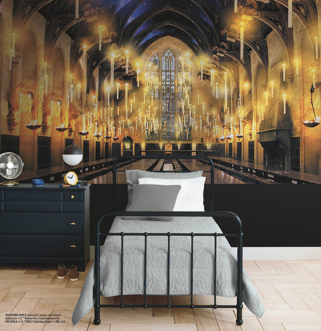 Harry Potter Great Hall Multicolor Peel & Stick Vinyl Wall Mural - York RMK12541M