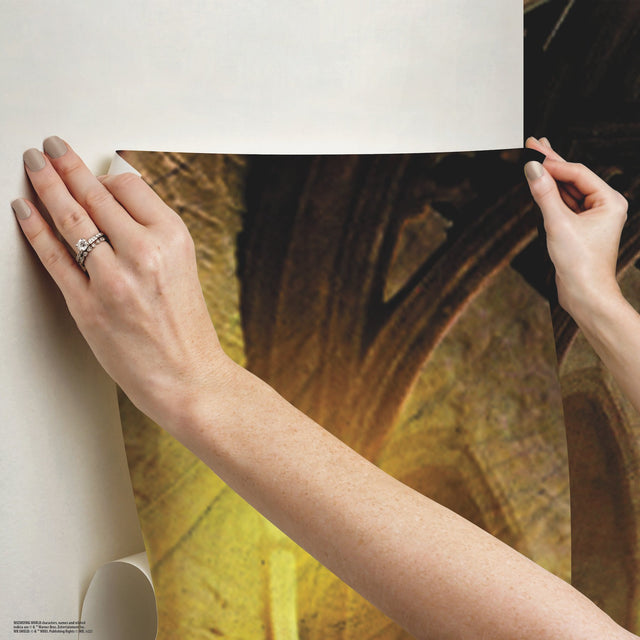 Harry Potter Great Hall Multicolor Peel & Stick Vinyl Wall Mural - York RMK12541M