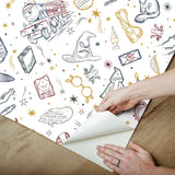 Harry Potter Magical Icons Blue Peel & Stick Wallpaper with Whimsical Novelty Graphics - York RMK12592RL