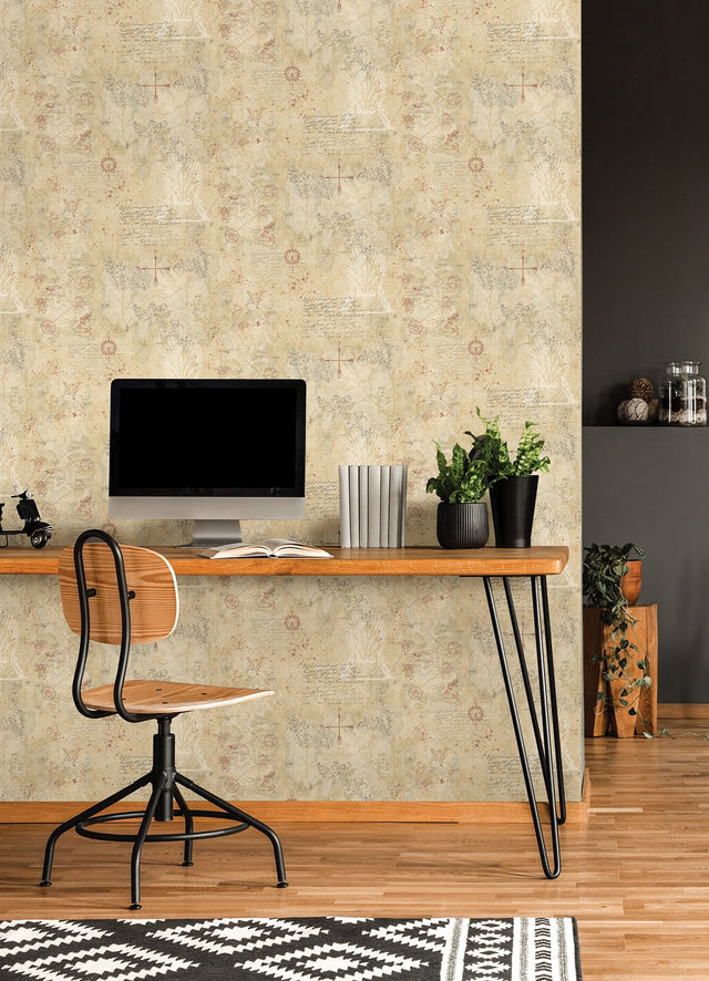 Game of Thrones Map Tan Peel & Stick Wallpaper Vintage Map Pattern - York RMK12617RL