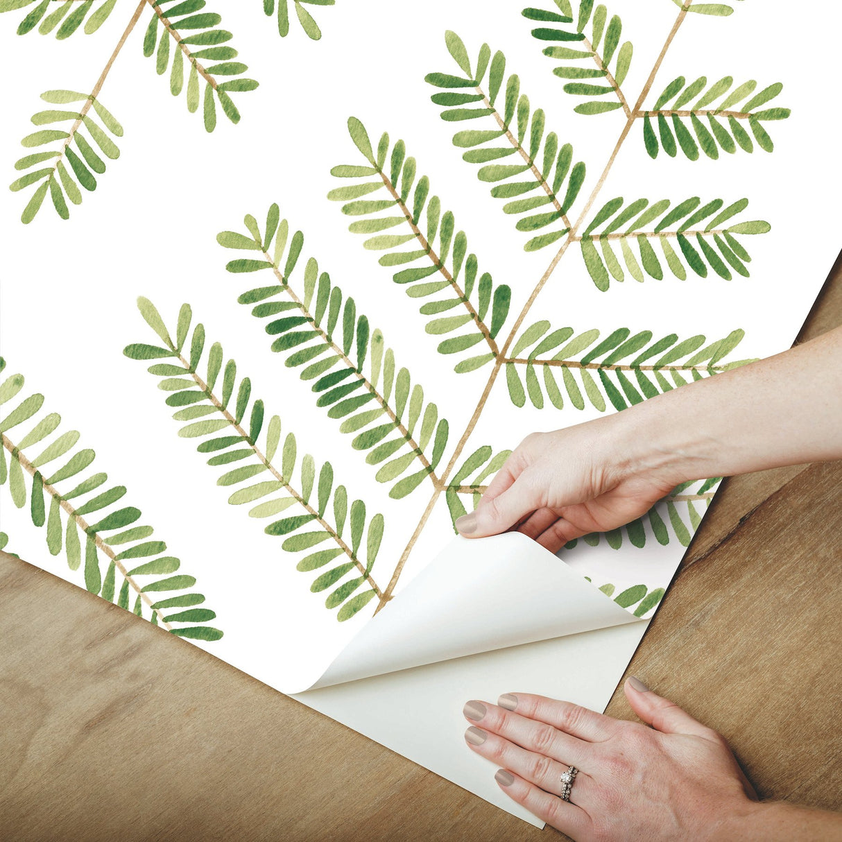 Cat Coquillette Leaflets Green Peel & Stick Wallpaper with Watercolor Botanical Leaf Pattern - York RMK12638PL