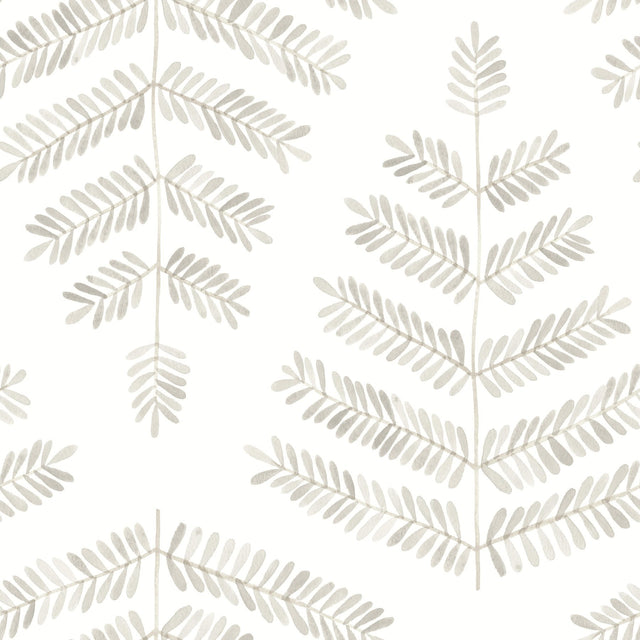 Cat Coquillette Leaflets Neutral Peel & Stick Wallpaper with Botanical Watercolor Leaf Pattern - York RMK12639PL