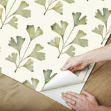 Cat Coquillette Gingko Almond Peel & Stick Wallpaper with Botanical Watercolor Leaves - York RMK12641PL