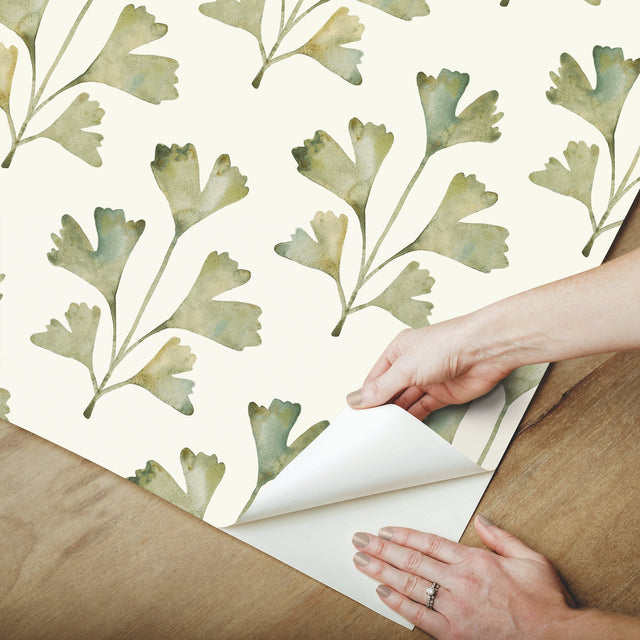 Cat Coquillette Gingko Almond Peel & Stick Wallpaper with Botanical Watercolor Leaves - York RMK12641PL