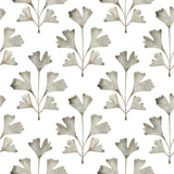 Cat Coquillette Gingko Neutral Peel & Stick Wallpaper with Botanical Watercolor Leaves - York RMK12642PL