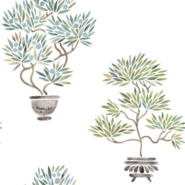Cat Coquillette Bonsai Soft Green/Blue Peel & Stick Vinyl Wallpaper with Botanical Bonsai Pattern - York RMK12646RL