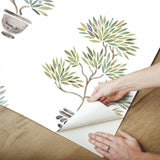 Cat Coquillette Bonsai Soft Green/Blue Peel & Stick Vinyl Wallpaper with Botanical Bonsai Pattern - York RMK12646RL