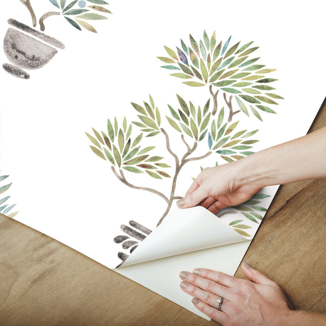Cat Coquillette Bonsai Soft Green/Blue Peel & Stick Vinyl Wallpaper with Botanical Bonsai Pattern - York RMK12646RL