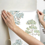 Cat Coquillette Bonsai Soft Green/Blue Peel & Stick Vinyl Wallpaper with Botanical Bonsai Pattern - York RMK12646RL