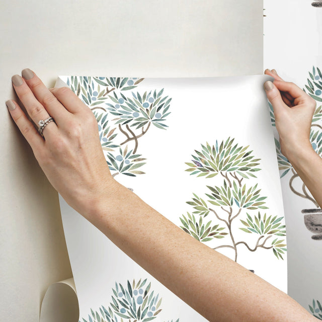 Cat Coquillette Bonsai Soft Green/Blue Peel & Stick Vinyl Wallpaper with Botanical Bonsai Pattern - York RMK12646RL