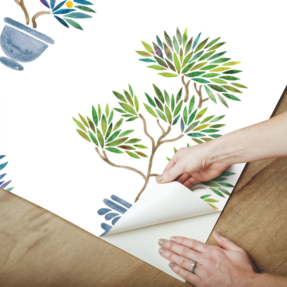 Cat Coquillette Bonsai Green/Blue Peel & Stick Wallpaper with Botanical Bonsai Motif - York RMK12647RL