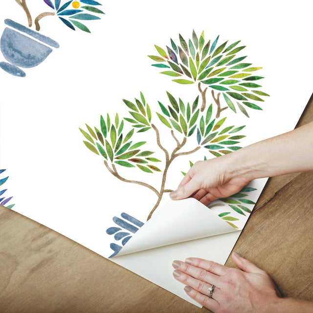 Cat Coquillette Bonsai Green/Blue Peel & Stick Wallpaper with Botanical Bonsai Motif - York RMK12647RL
