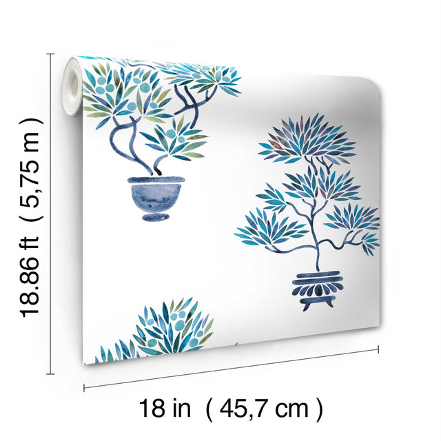 Cat Coquillette Bonsai Blue Peel & Stick Wallpaper with Botanical Bonsai Tree Motif - York RMK12648RL