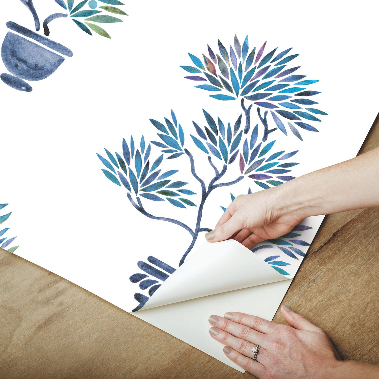 Cat Coquillette Bonsai Blue Peel & Stick Wallpaper with Botanical Bonsai Tree Motif - York RMK12648RL