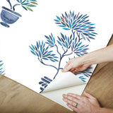 Cat Coquillette Bonsai Blue Peel & Stick Wallpaper with Botanical Bonsai Tree Motif - York RMK12648RL