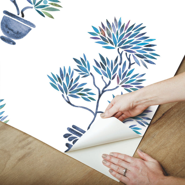 Cat Coquillette Bonsai Blue Peel & Stick Wallpaper with Botanical Bonsai Tree Motif - York RMK12648RL