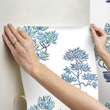 Cat Coquillette Bonsai Blue Peel & Stick Wallpaper with Botanical Bonsai Tree Motif - York RMK12648RL