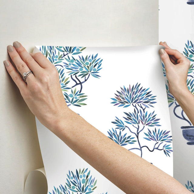 Cat Coquillette Bonsai Blue Peel & Stick Wallpaper with Botanical Bonsai Tree Motif - York RMK12648RL