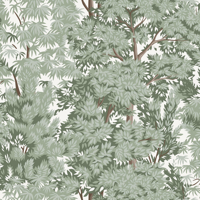 Ardian Green Peel & Stick Wallpaper with Traditional Trees Pattern - York RMK12661RL