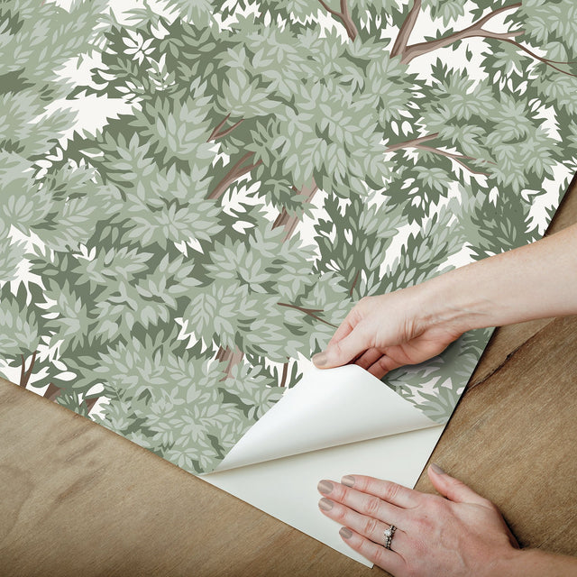 Ardian Green Peel & Stick Wallpaper with Traditional Trees Pattern - York RMK12661RL
