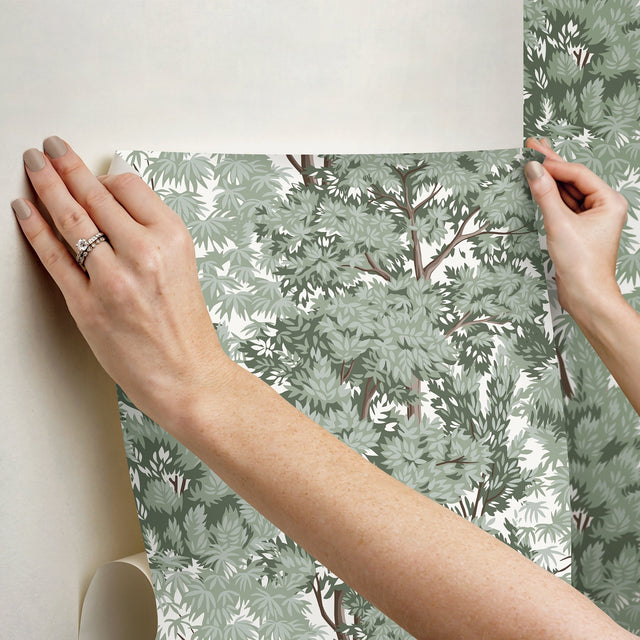 Ardian Green Peel & Stick Wallpaper with Traditional Trees Pattern - York RMK12661RL