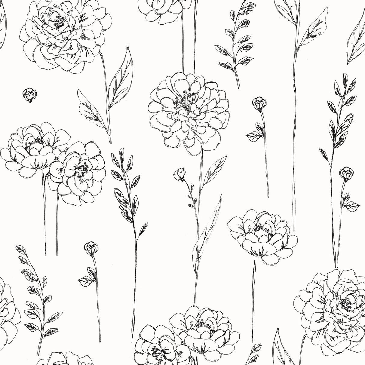 Maisey Black Peel & Stick Wallpaper with Botanical Floral Pattern - York RMK12687PLW