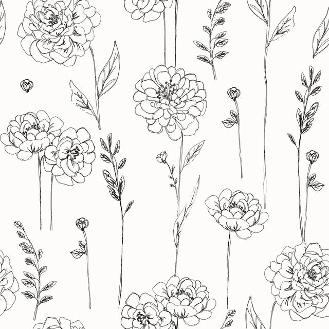 Maisey Black Peel & Stick Wallpaper with Botanical Floral Pattern - York RMK12687PLW