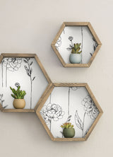 Maisey Black Peel & Stick Wallpaper with Botanical Floral Pattern - York RMK12687PLW