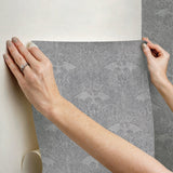 House Of The Dragon Grey Damask Modern Peel & Stick Wallpaper - York RMK12699RL