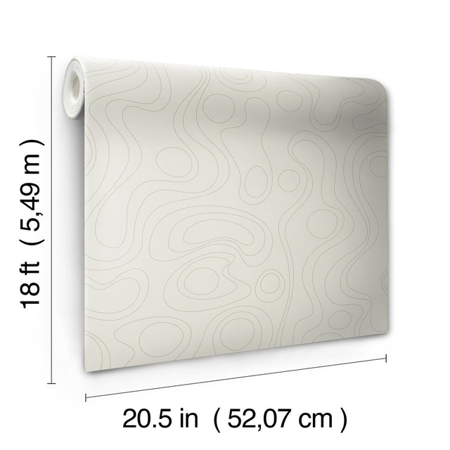 Lineation Beige Geometric Peel & Stick Wallpaper - RoomMates RMK12736PLW