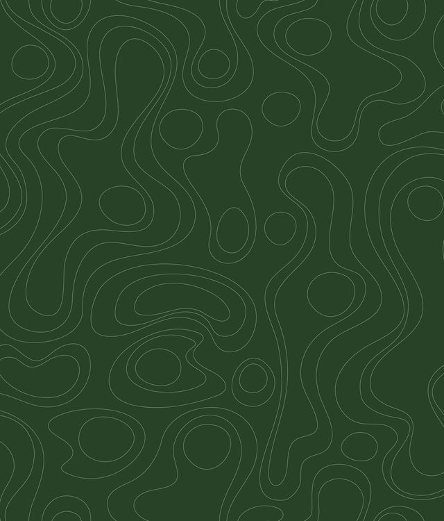 Lineation Green Peel & Stick Wallpaper with Modern Geometric Graphics - York RMK12737PLW