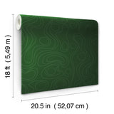 Lineation Green Peel & Stick Wallpaper with Modern Geometric Graphics - York RMK12737PLW