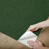 Lineation Green Peel & Stick Wallpaper with Modern Geometric Graphics - York RMK12737PLW
