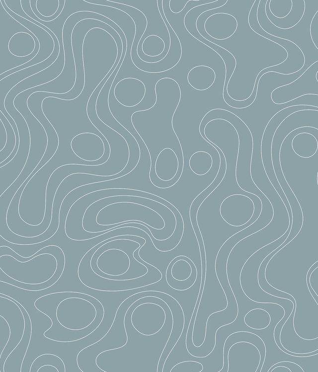 Lineation Blue Peel & Stick Wallpaper with Organic Geometric Pattern - York RMK12738PLW