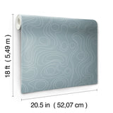Lineation Blue Peel & Stick Wallpaper with Organic Geometric Pattern - York RMK12738PLW