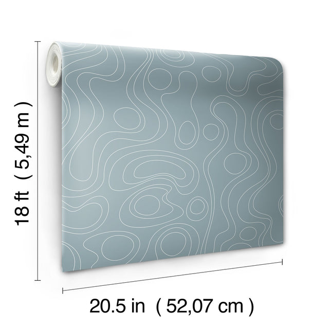 Lineation Blue Peel & Stick Wallpaper with Organic Geometric Pattern - York RMK12738PLW