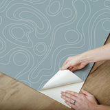 Lineation Blue Peel & Stick Wallpaper with Organic Geometric Pattern - York RMK12738PLW