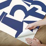 Inside The Box Blue Peel & Stick Wallpaper with Modern Geometric Graphic Pattern - York RMK12739PLW
