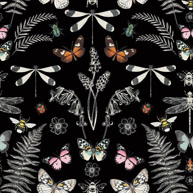 Hidden Treasures Black Peel & Stick Wallpaper with Bohemian Butterfly & Insect Motif - York RMK12749PLW