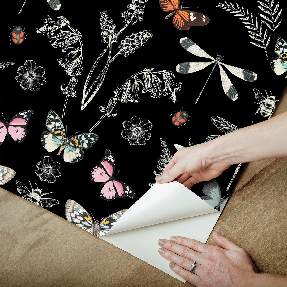 Hidden Treasures Black Peel & Stick Wallpaper with Bohemian Butterfly & Insect Motif - York RMK12749PLW
