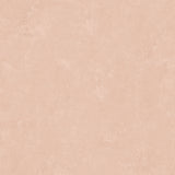 Daphne Potter's Clay Peach Limewash Peel & Stick Wallpaper with Modern Stone Graphic Pattern - York RMK12766PLW