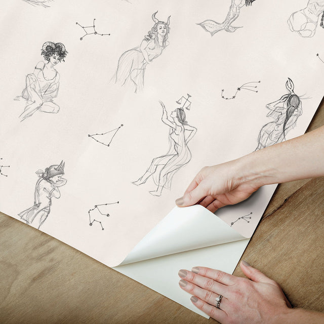 Luna Zodiac Cream & Graphite Toile Peel & Stick Wallpaper with Vintage Novelty Graphics - York RMK12768PLW