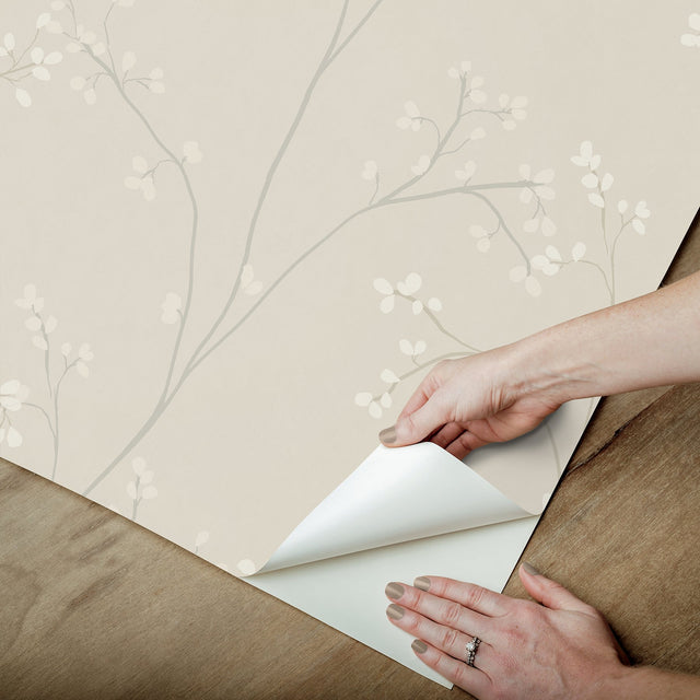 Blossom Stripe Cream Peel & Stick Wallpaper with Floral Branch Pattern - York RMK12807PL