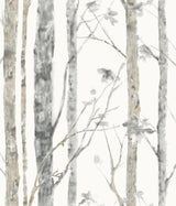Birch Trees Brown Peel and Stick Wallpaper by RoomMates - RMK9047WP
