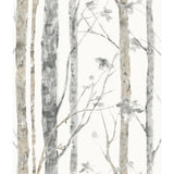 Birch Trees Brown Peel and Stick Wallpaper by RoomMates RMK9047WPZ - Botanical Nature-Inspired Forest Design