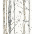 Birch Trees Brown Peel and Stick Wallpaper by RoomMates RMK9047WPZ - Botanical Nature-Inspired Forest Design