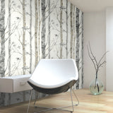 Birch Trees Brown Peel and Stick Wallpaper by RoomMates - Botanical Photographic Nature-Inspired Vinyl Wall Covering - RMK9047WPZ